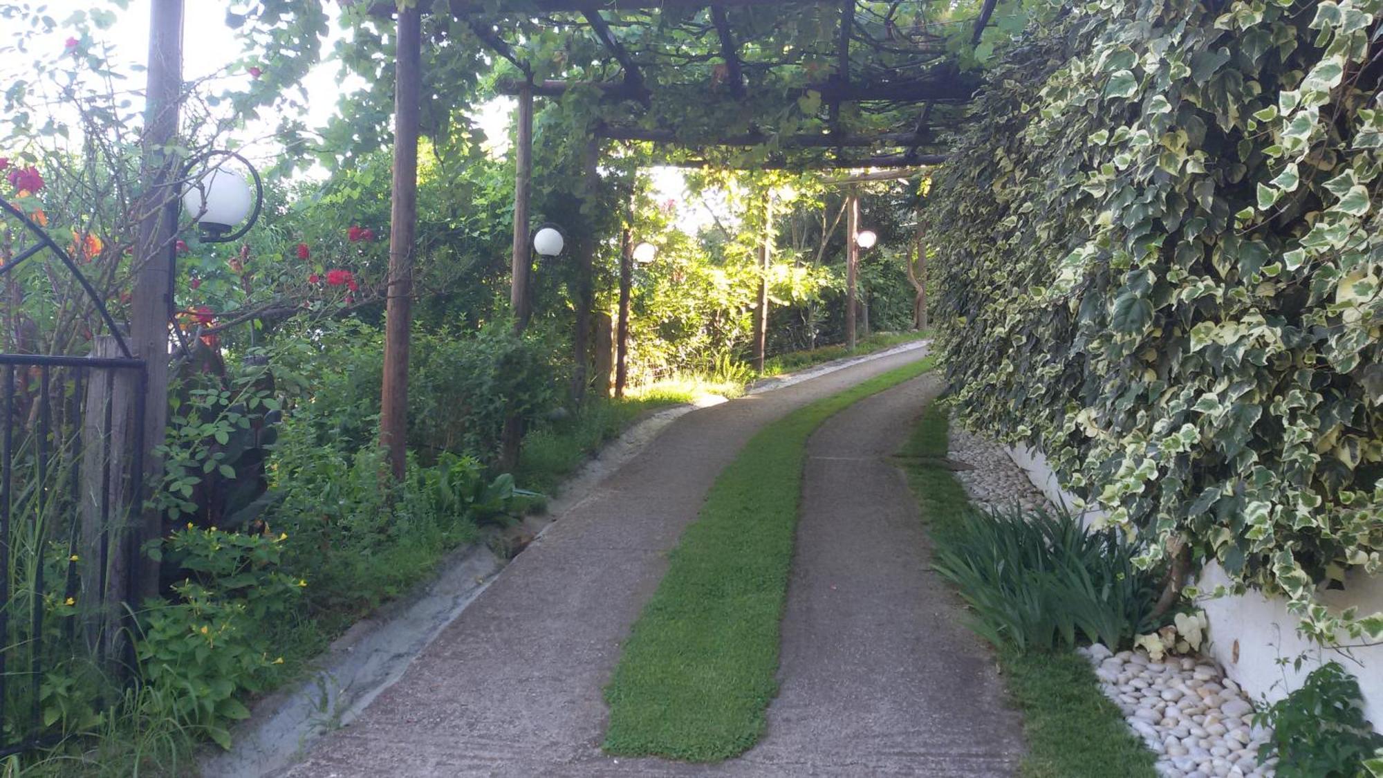 Villa Dimitra Skala Potamia  Bagian luar foto