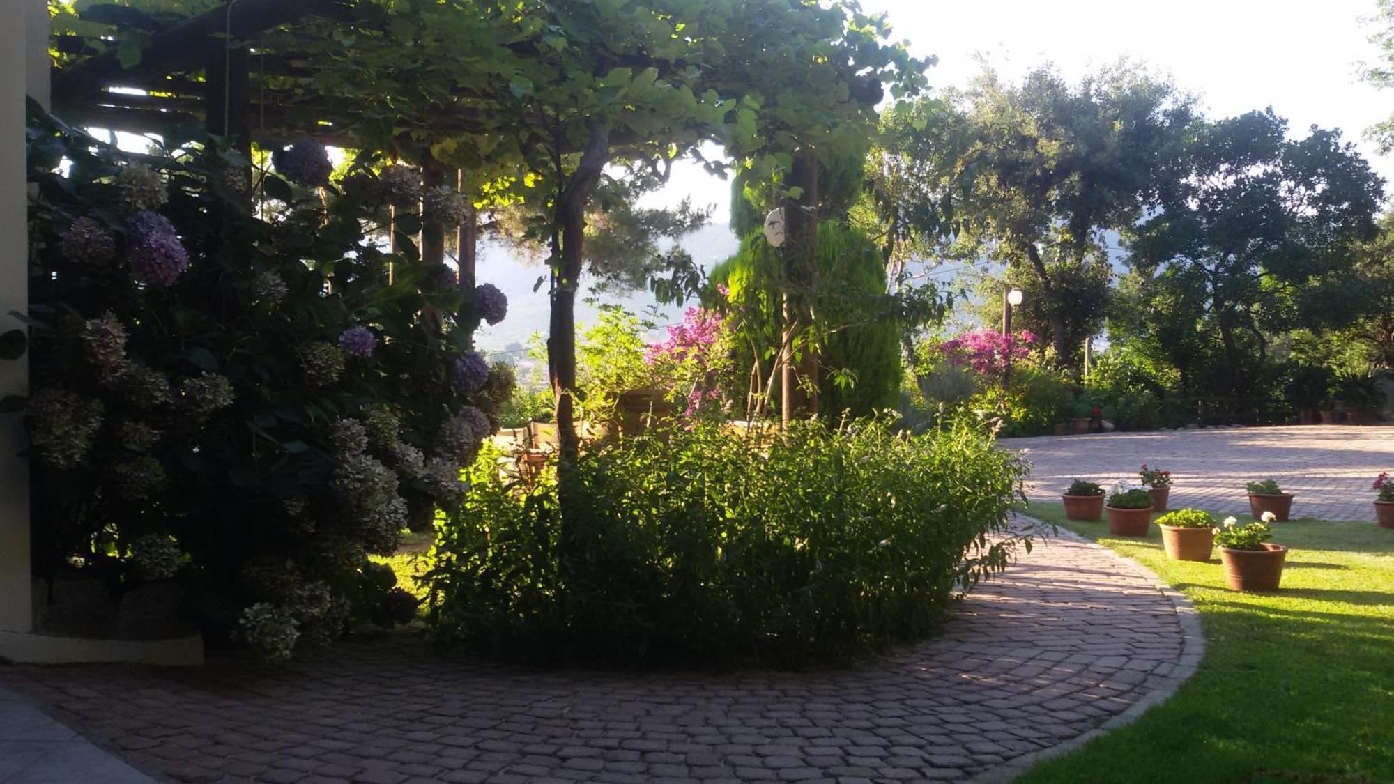 Villa Dimitra Skala Potamia  Bagian luar foto